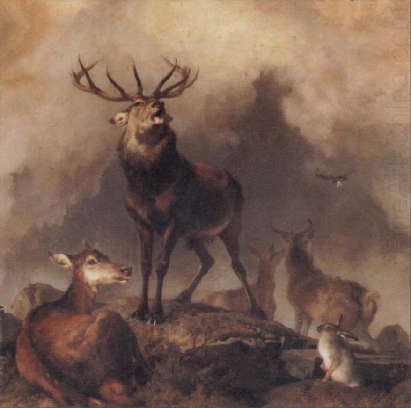 Sir Edwin Landseer A Majestic Gathering china oil painting image